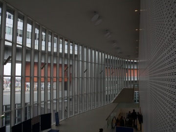 Organizácia Spojených Národov