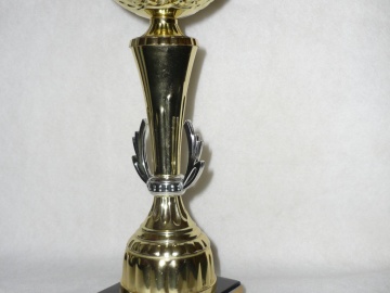 Turnajový pohár