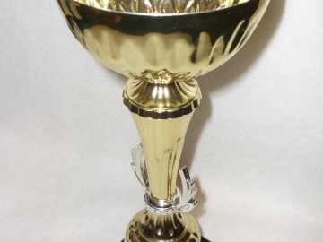 Turnajový pohár