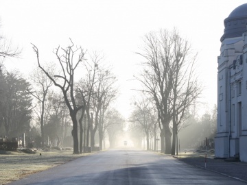 Ústredný cintorín