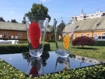 Medzinárodné sklárske sympózium