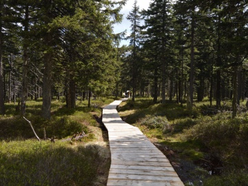 Turistický výstup na Praděd