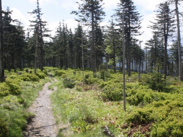 Turistický výstup na Praděd
