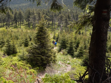 Turistický výstup na Praděd