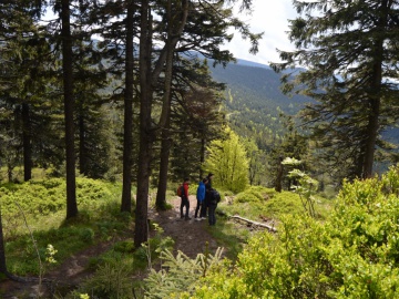 Turistický výstup na Praděd