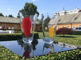 Medzinárodné sklárske sympózium